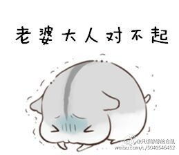 求小仓鼠老婆系列表情包,类似这种