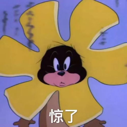 今日的快乐源泉,请查收11.26