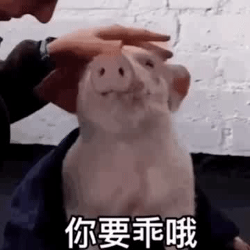 聊天搞笑图片生活嘛,笑一笑就好了