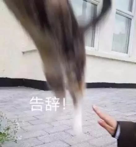 万万没想到,我被表情包骗进了一家淘宝店