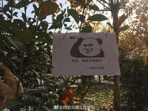 西安一高校校园挂满禁烟表情包吸烟找不到对象