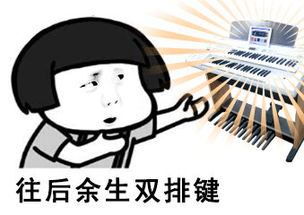 双排键琴友必备斗图表情包一大波,欢迎收藏