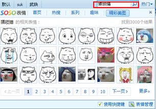 请问图片中这个猫叫什么我想下载它全套的qq表情包