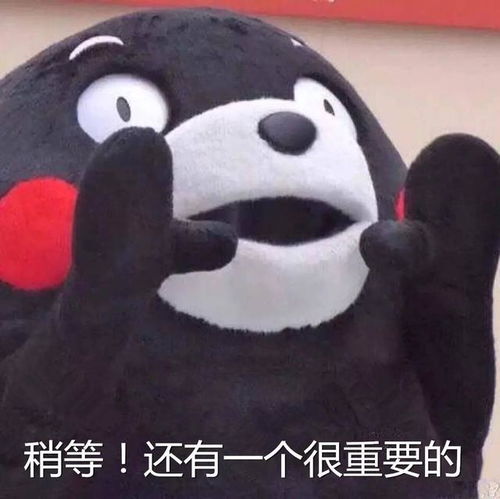 点点乐商城圣诞季送超值免单福利,进来看看还收获一波熊本熊表情包