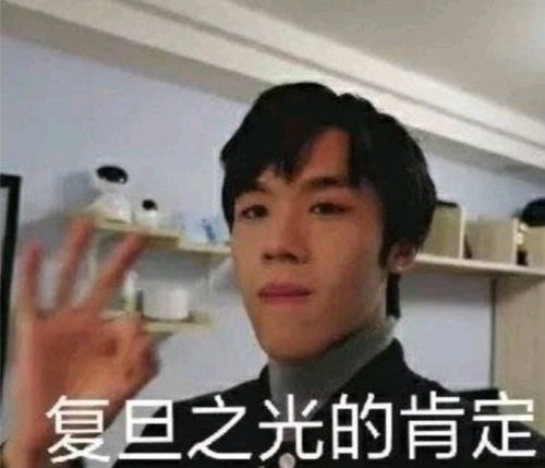 赵莫人的表情包特别篇老番茄