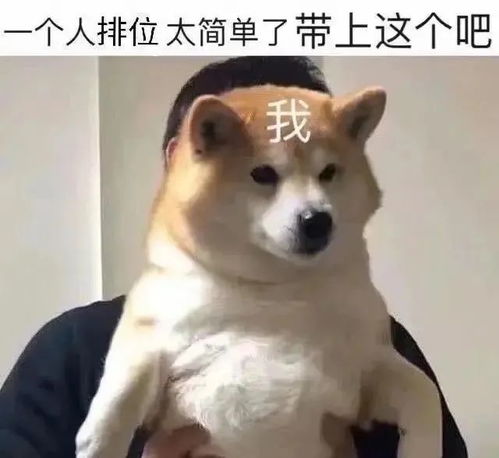 趣味又沙雕的表情包