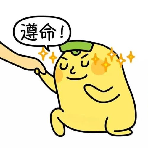 丢脸表情包遵命