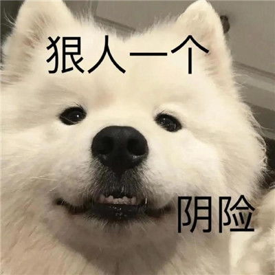 今日份搞怪表情包精选合集最新版搞怪聊天表情大全