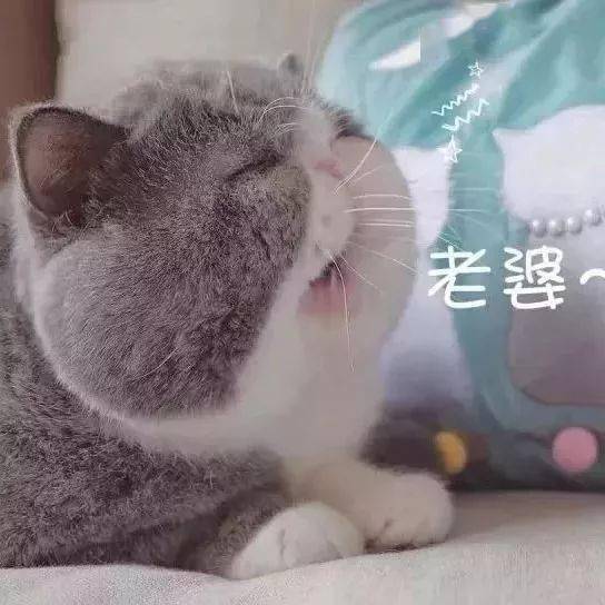 月中最新潮萌甜情侣头像壁纸