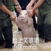 微笑面对一切表情包微信头像图片大全