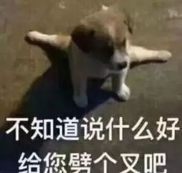 猝不及防大暴雨7级大风拉响蓝色警报未来还有...