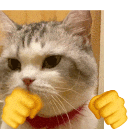猫猫狗狗打拳表情包,都给我进来挨揍