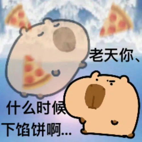 老天爷,你啥时候下馅饼呀表情包合集