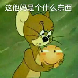 2行业优化案例,2盎司百度排名,2房网站推广任务大厅云客网seo众包服务平台