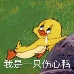 和姐妹男朋友玩真的尴尬
