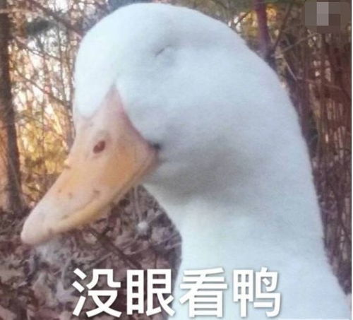 看了这些照片才知道,48岁的莫文蔚活成迷人少女的秘密香港