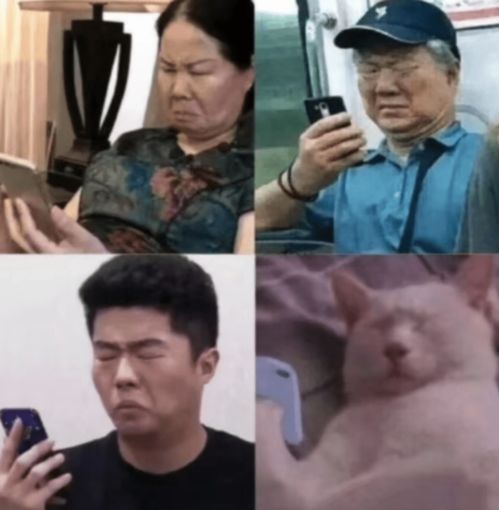 还是驾校教练最懂桑塔纳