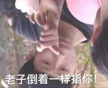 狗头人系列表情包老子