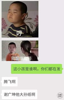谢腾飞到底是什么飞机,竟然一夜之间让民国失宠了附送表情包