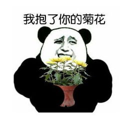 金馆长熊猫骂人表情包下载飞翔下载