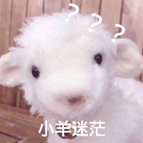 男朋友无论如何都不肯给我妈妈拜年有人能理解吗