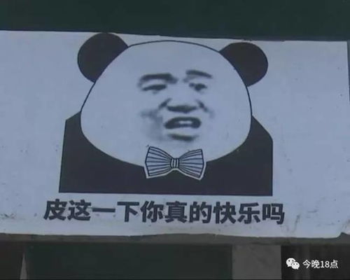 垃圾桶有了表情包看了一定能萌到你
