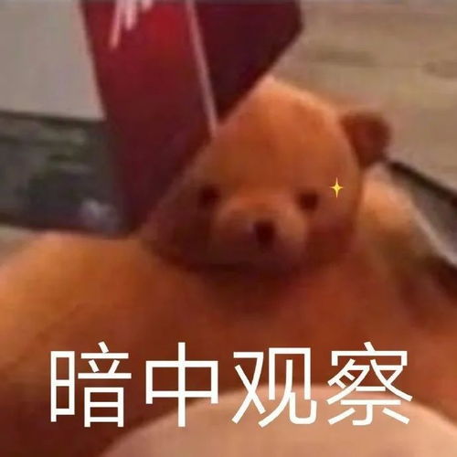 夺笋表情包沙雕