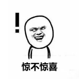 无水印搞笑表情包