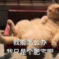 1件卫衣100套穿搭,第8套太美了