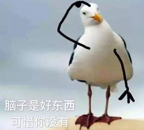 一大学生在网上装x,结果...杯具了