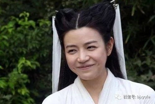 陈妍希对于正爱恨交加,演神雕侠侣却被做成表情包,小龙女本该由她出演