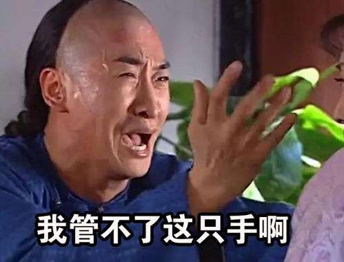 今年的双11,谁最累不是卖家不是剁手党更不是快递员