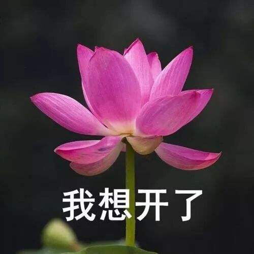 想回家的图片表情包表情包