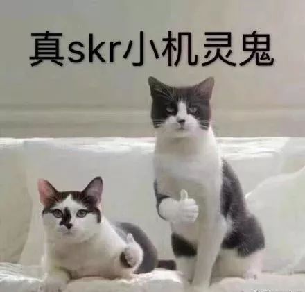 skr到底是什么意思最全skr表情包合集别说话skr就完了