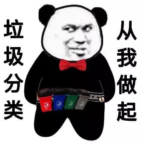 微信搜一搜推出2019年度表情包垃圾分类登顶