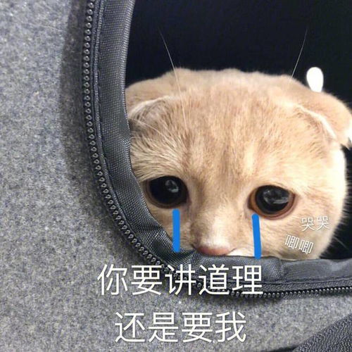 笑话十条你冻得脸都青了,还不把围巾系上