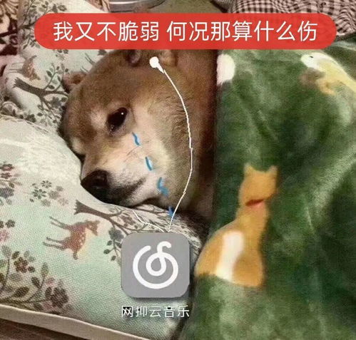 网抑云阴乐被群嘲,但我却笑不出来