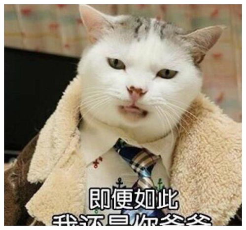 幽默笑话高中时期,你会经常看见一帮男生人手一双筷子去上厕所