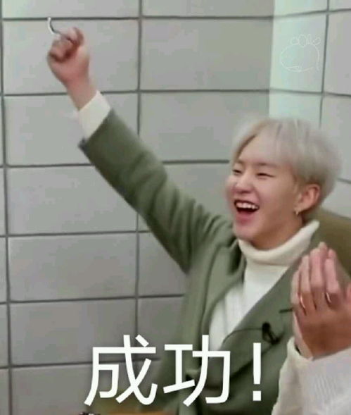 seventeen表情包合集96line,这回是真的96line