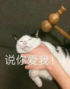 过年妆容这样画10分钟教你讨好长辈,hold住同学聚会