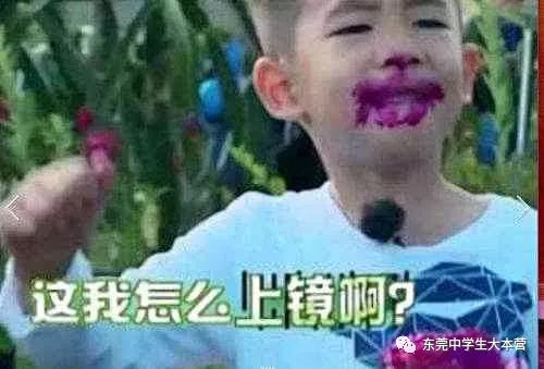 2017年最火的10个小朋友哪个是你的最爱