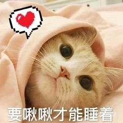 电话地址价格营业时间国贸金融团购郑州生活服务
