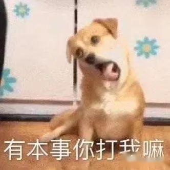 人大美食一览part1
