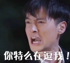 胡歌表情包图片大全