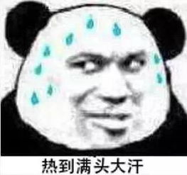 快夸我熊猫头表情包小熊猫