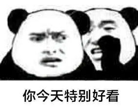 趴耳朵说话表情包你今天特别好看