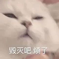 留学双面人表面光彩亮丽,实际活得像狗