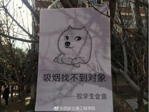 抽烟表情包是什么意思找不到