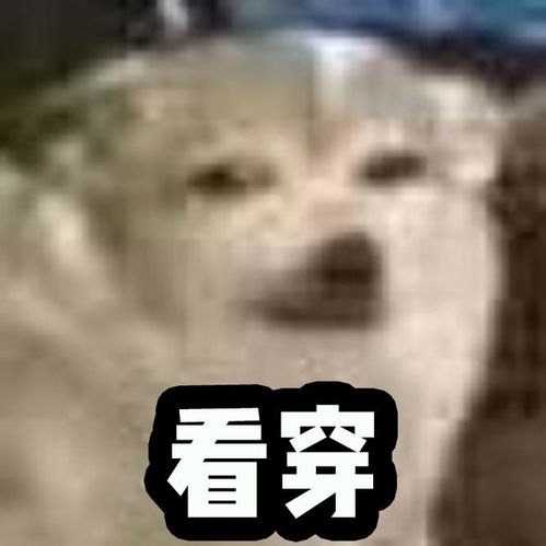 吴宣仪的包包有多贵加起来能买一套房