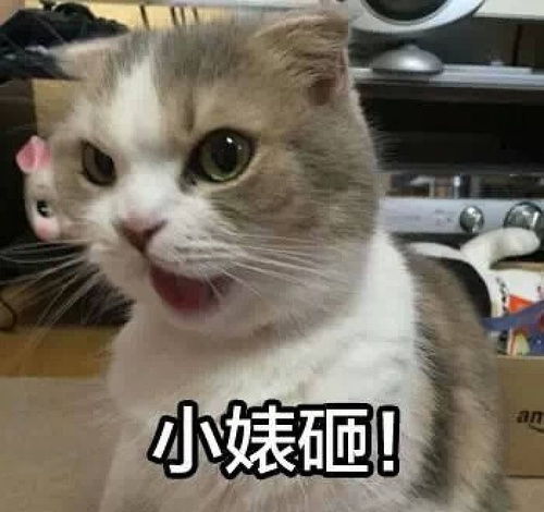 捡钱包骗我死也不还的男生,你真的太人渣了坐标...